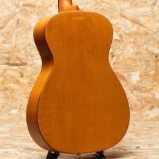 Epiphone Dobro Hound Dog VB_2