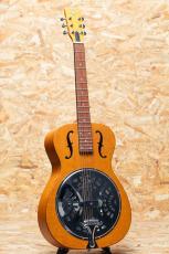 Epiphone Dobro Hound Dog VB_3