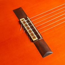 YAMAHA GC-10_3