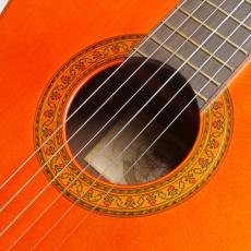 YAMAHA GC-10_4