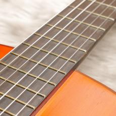 YAMAHA GC-10_6