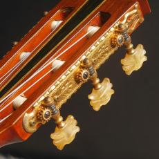 YAMAHA GC-10_8