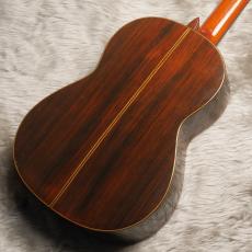 YAMAHA GC-10_10