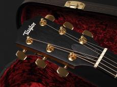 Taylor 224ce-Koa DLX ~Shaded Edgeburst~_3