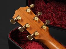 Taylor 224ce-Koa DLX ~Shaded Edgeburst~_8