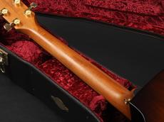 Taylor 224ce-Koa DLX ~Shaded Edgeburst~_9