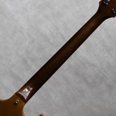 Guild S-100 Standard with Carved Top Natural / 1975_8