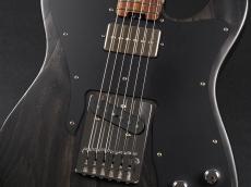 SCHECTER Progauge Series PS-S-PT-CTM/R ~Carbon Tint~_5