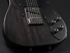 SCHECTER Progauge Series PS-S-PT-CTM/R ~Carbon Tint~_7