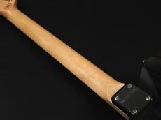 SCHECTER Progauge Series PS-S-PT-CTM/R ~Carbon Tint~_10