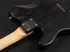 SCHECTER Progauge Series PS-S-PT-CTM/R ~Carbon Tint~_11