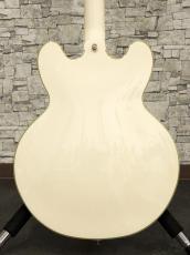 Epiphone Shinichi Ubukata ES-355 ver.02 Classic White 2023_13