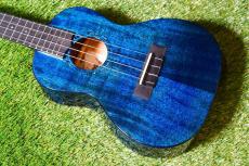 Uma Ukulele UK-20SC BL Concert