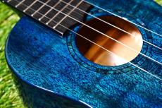 Uma Ukulele UK-20SC BL Concert_10