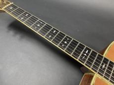 Seagull by M.Shiozaki SD-85 / Solid  Spruce Top・Solid Honduran Rosewood Side and Back・Lady Head Inlay・Style 45 Abalone Trim・Ebony Fingerboard and Bridge・P Mahogany Neck・Tortoise Color Pick guard【With Martin C_9