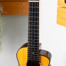 aNueNue aNN-US330_5