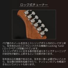 Bacchus Global Series BSH-STD25 RSM/M -BLK-_5