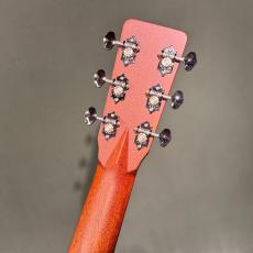 K.Yairi YF-OOO28W Custom_4