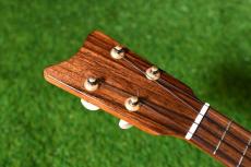KEN弦楽器工房 Concert Mahogany【USED】_5