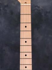 Fender Custom Shop 1955 Telecaster NOS Aged White Blonde Gols Hardware_4