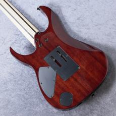 Ibanez RG8527 「BSR (Brownish Sphalerite)」【7弦】 【現物写真】SPOT モデル_4