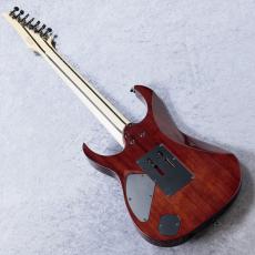 Ibanez RG8527 「BSR (Brownish Sphalerite)」【7弦】 【現物写真】SPOT モデル_5