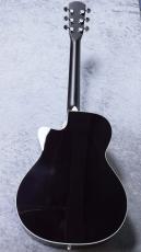 Morris CTM R-15K SPG【クロサワ楽器オーダー限定カラー】_4