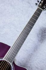 Morris CTM R-15K SPG【クロサワ楽器オーダー限定カラー】_9