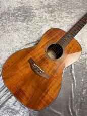 Takamine PTU431K