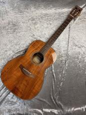 Takamine PTU431K_2