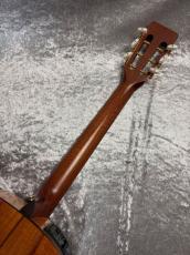 Takamine PTU431K_7