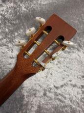 Takamine PTU431K_8