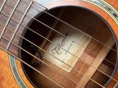 Takamine PTU431K_9
