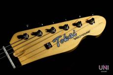 Tokai Vintage Series ATE/R BGM_7