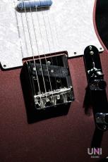 Tokai Vintage Series ATE/R BGM_9