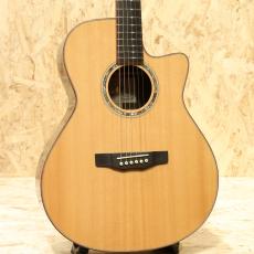 Morris S-101 III 2022