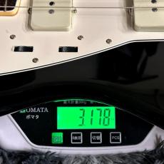 Fender Made in Japan Traditional Late 60s Jazzmaster, Rosewood Fingerboard, Black 【特価】_11
