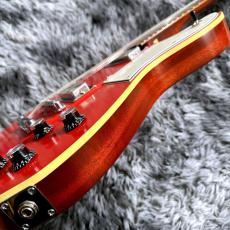 Provision Telebird #007-MH-CRED 【チョイキズ特価】【東京楽器博出展個体】【国産ハイエンド】_10