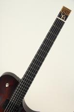 Victor Baker Guitars Ergonomic Semi hollow Headless Brown Smoke Satin 2023_4