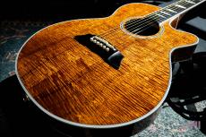 Takamine TSP178ACK N