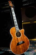 Takamine TSP178ACK N_2