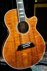 Takamine TSP178ACK N_3