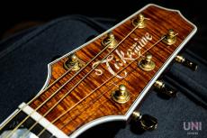 Takamine TSP178ACK N_4