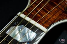 Takamine TSP178ACK N_5