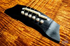 Takamine TSP178ACK N_7