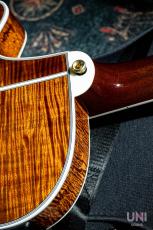 Takamine TSP178ACK N_9