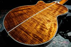 Takamine TSP178ACK N_10
