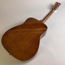 YAMAHA F600_6