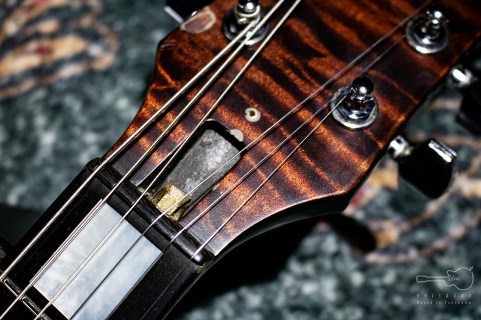 ESP ILP-00 DRAGON Marrone 2001 (LUNA SEA INORAN Signature