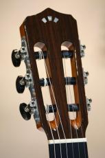 Cordoba FUSION 12 ROSE II_5